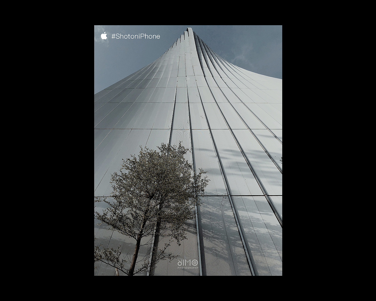 iPhone 摄影 | 夏日的风