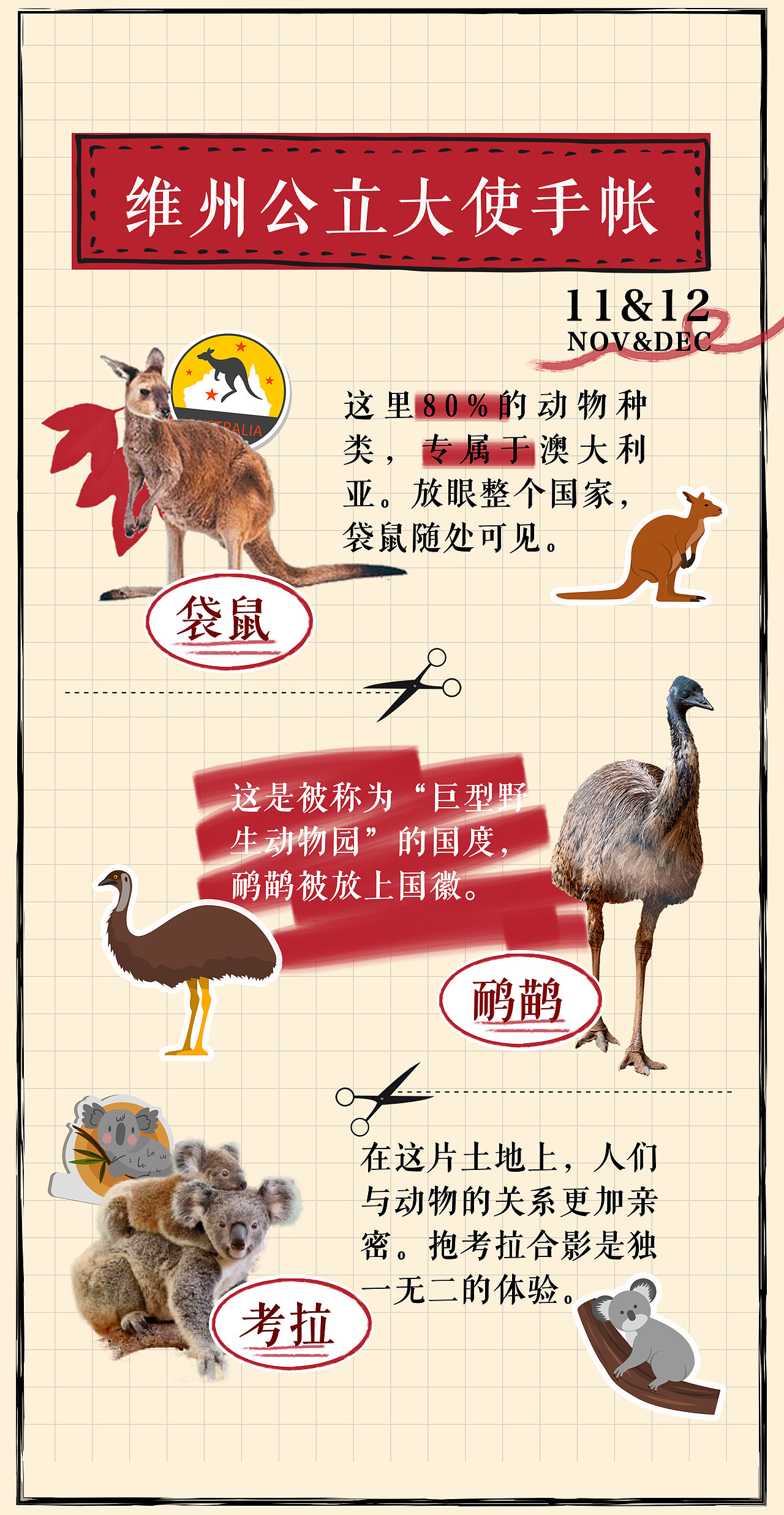 澳大利亚维多利亚州公立中学金牌大使H5设计