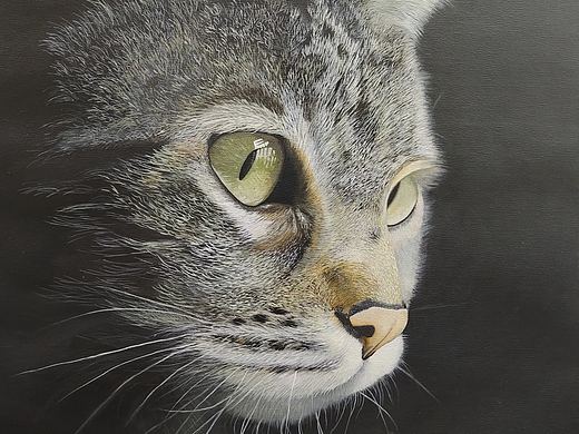 超写实油画｜《狸花猫》