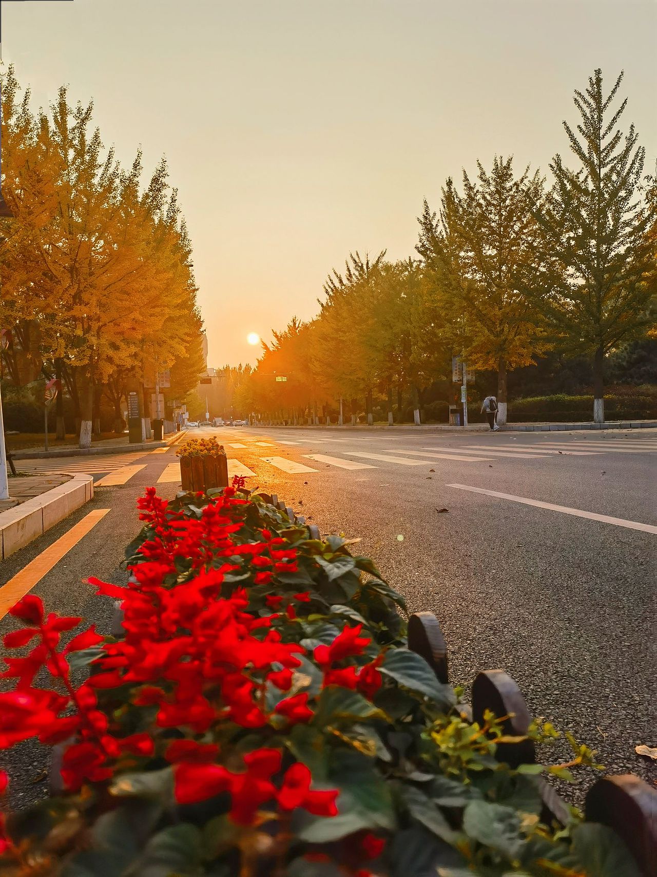 沈阳师范大学(2)风景没放全看主页上篇