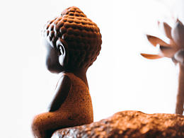 2019拍攝的一些壁紙