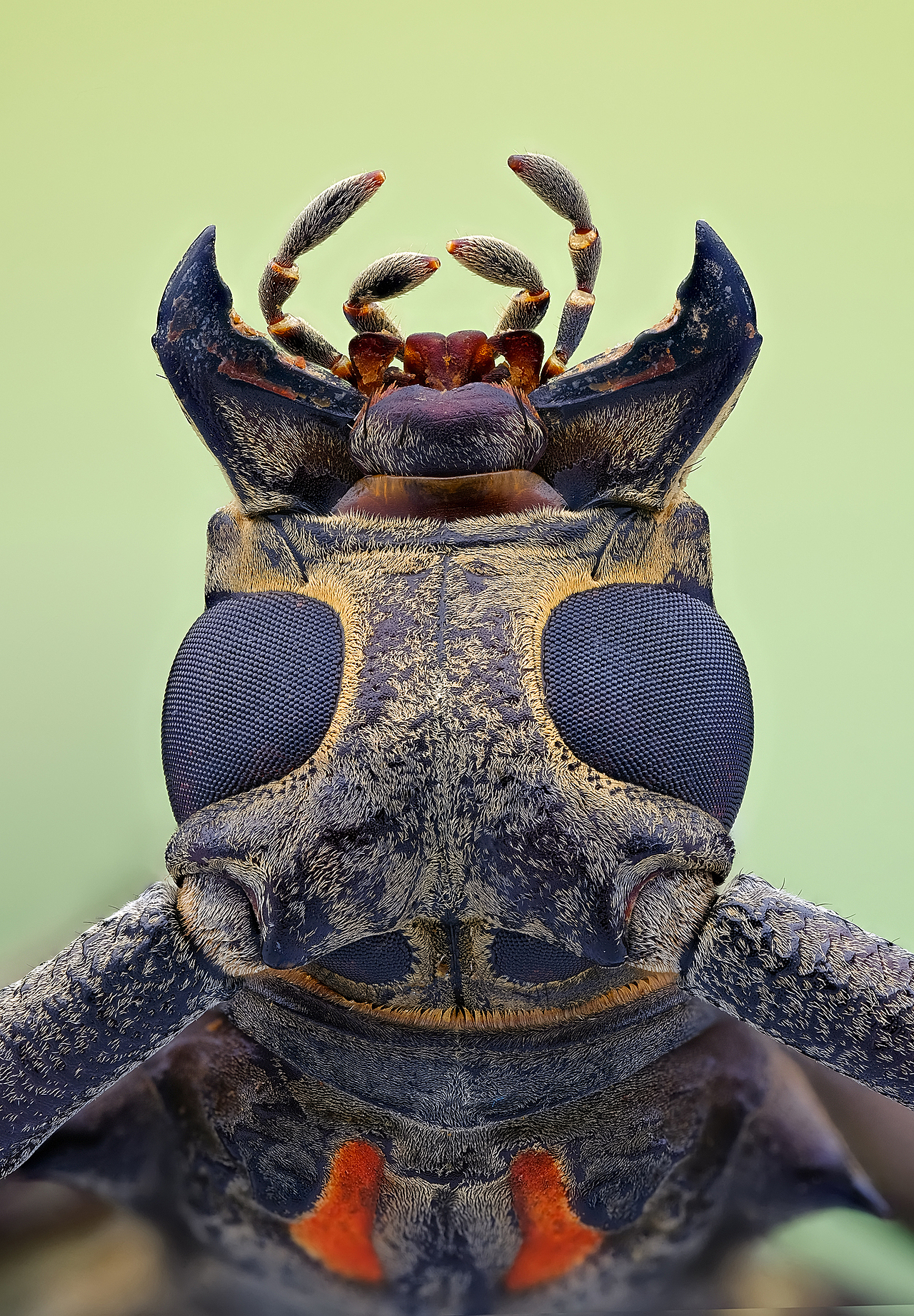 豪华太空舱-瓜哥堆叠微距摄影（图ZMjQxNDYzMDAw） - 风光摄影 - 站酷设计师瓜哥微距摄影原创素材 - 站酷ZCOOL