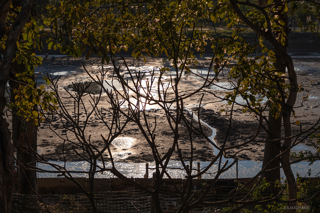 海鸥岛（图ZMjg5MzA5Mzky） - 风光摄影 - 站酷设计师JuliaXZhang原创素材 - 站酷ZCOOL