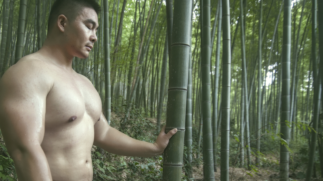 【貳零壹柒 · 溧陽 · 南山竹海】（图ZOTA2MDMyMjA=） - 人像摄影 - 站酷设计师Daven原创素材 - 站酷ZCOOL