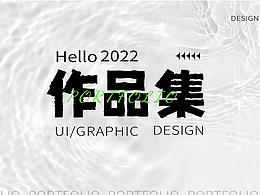 2022UI設(shè)計(jì)師作品集