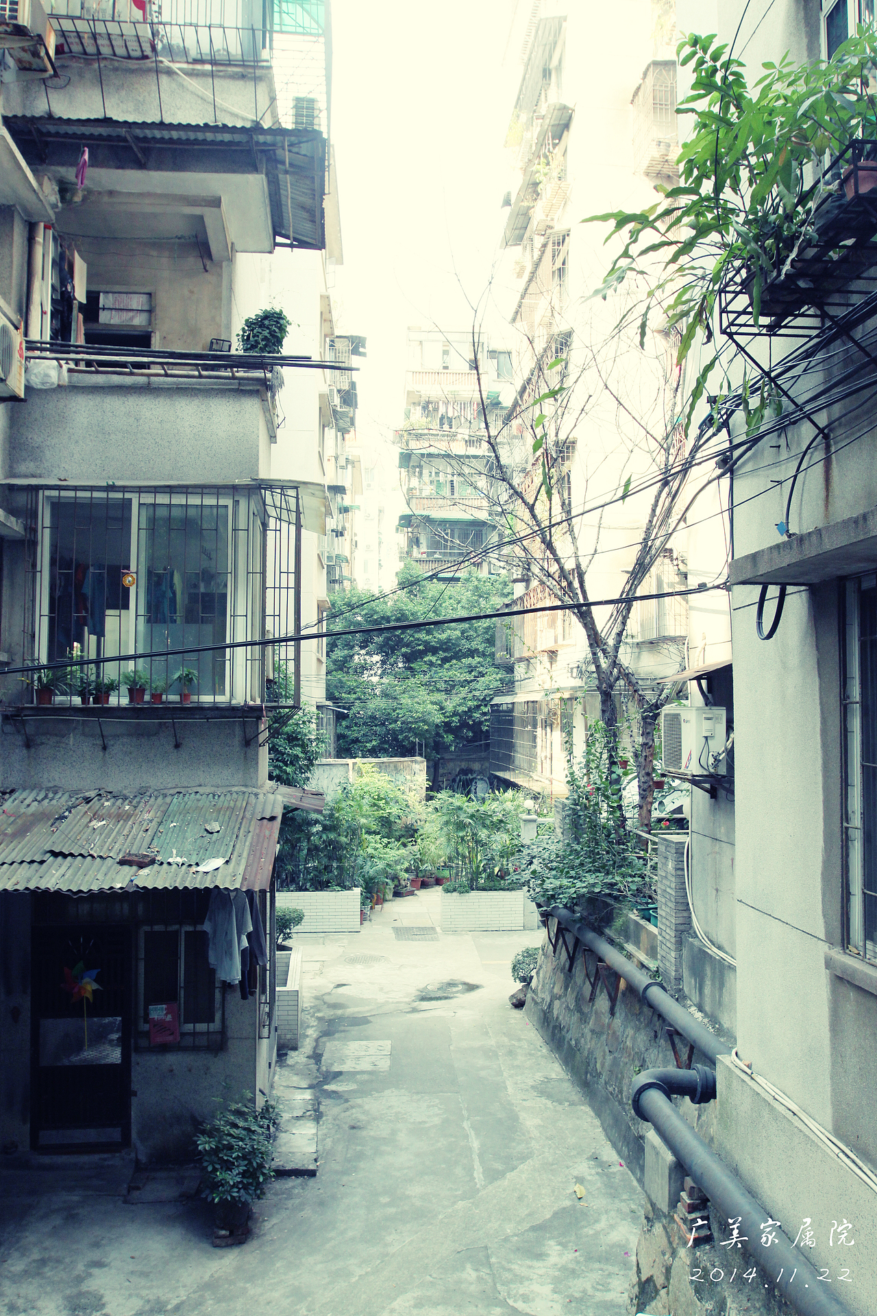 追忆那年的广州