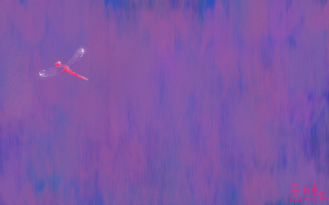 由歌曲发想出的梦