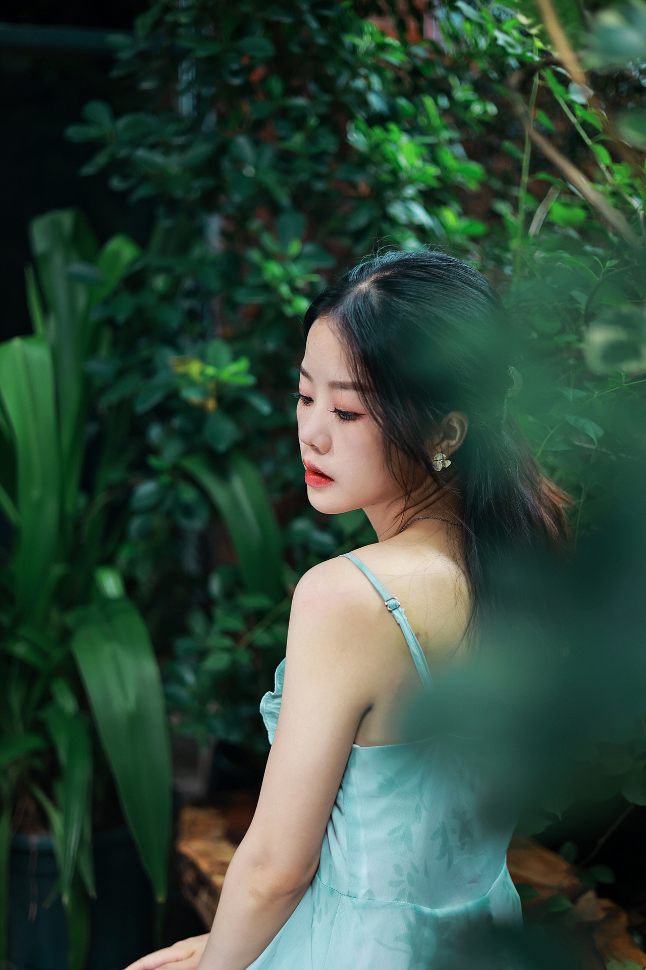 你若盛开清风自来