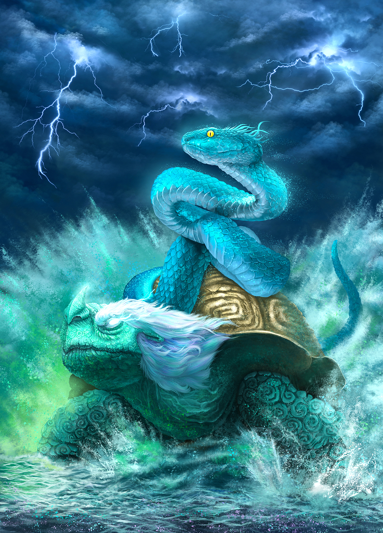 天之四灵玄武风暴