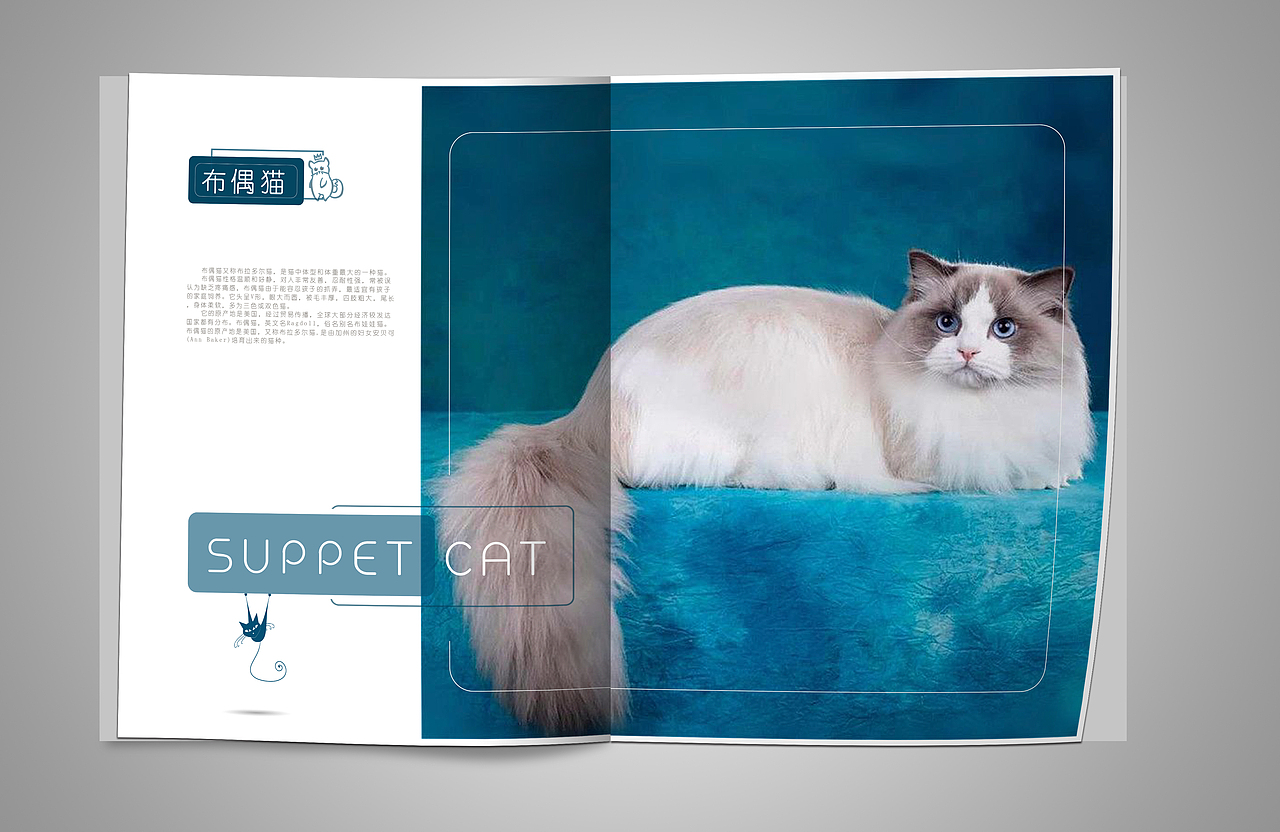 平面：宠物画册（图ZMTQzMzc0MTQw） - 书籍/画册 - 站酷设计师曾小香原创素材 - 站酷ZCOOL