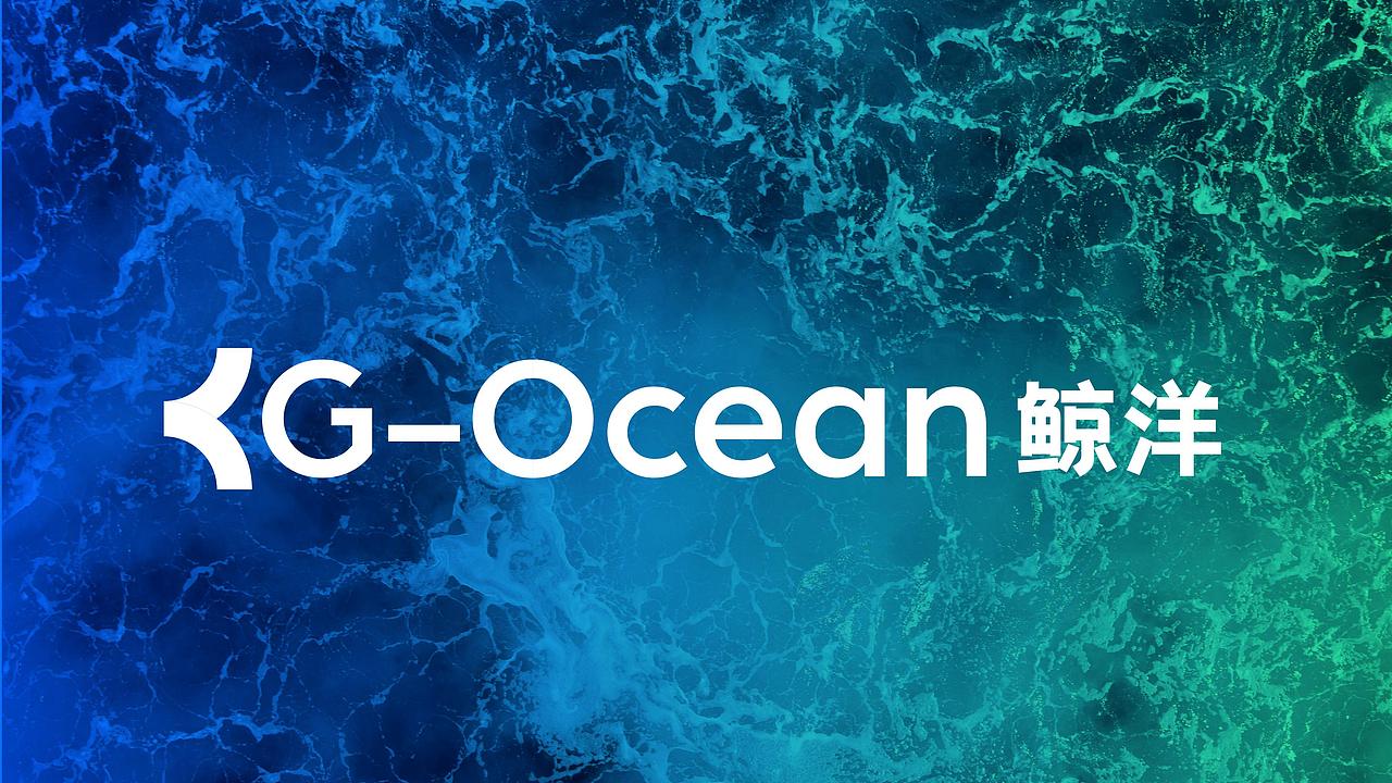 鲸洋logo方案