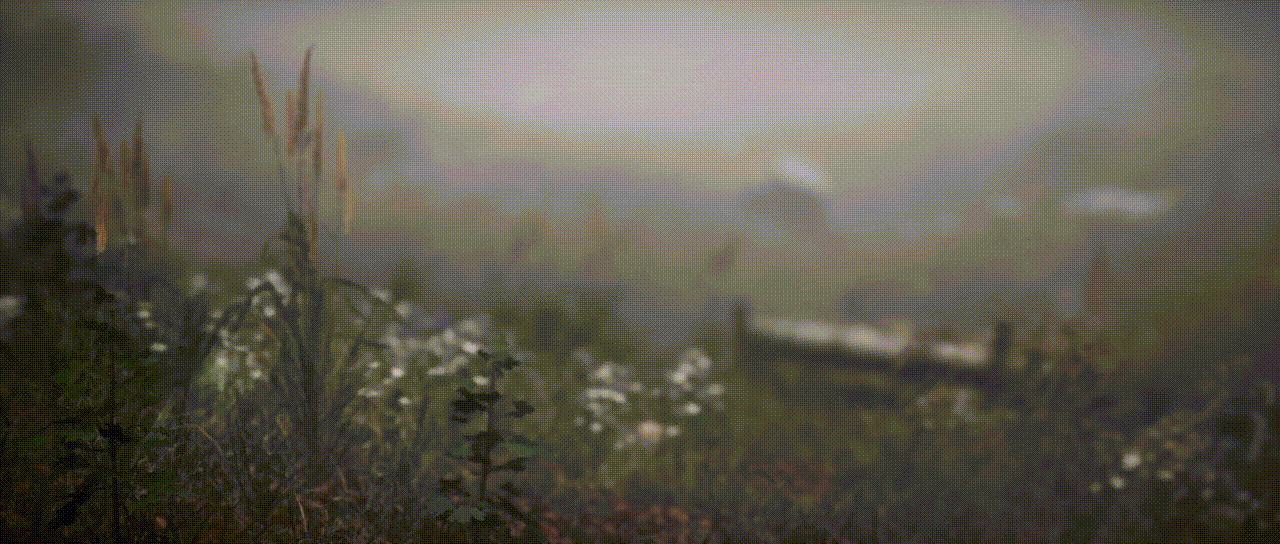 Misty Forest-Animation(图ZMjMwMTE4OTI4) - 动画/影视 - 站酷设计师ZixiIceyy原创素材 - 站酷ZCOOL