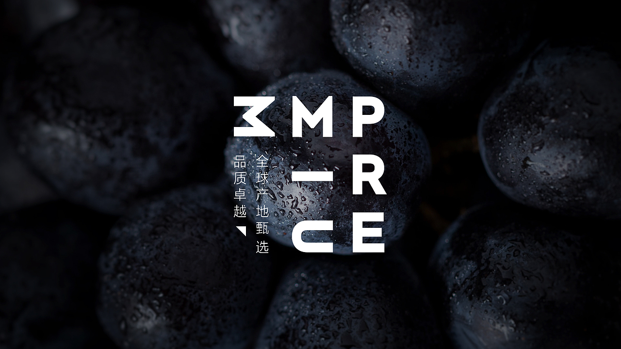 Competitive Presentation 2019