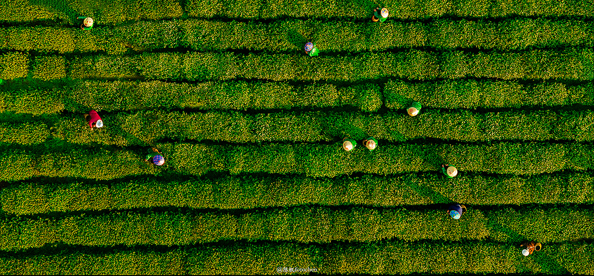 春风沉醉的夜晚（图ZMjUyOTE2NjA0） - 风光摄影 - 站酷设计师陈帆fotochen原创素材 - 站酷ZCOOL