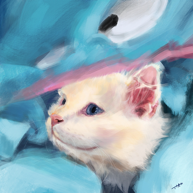 一些可爱的哈吉米