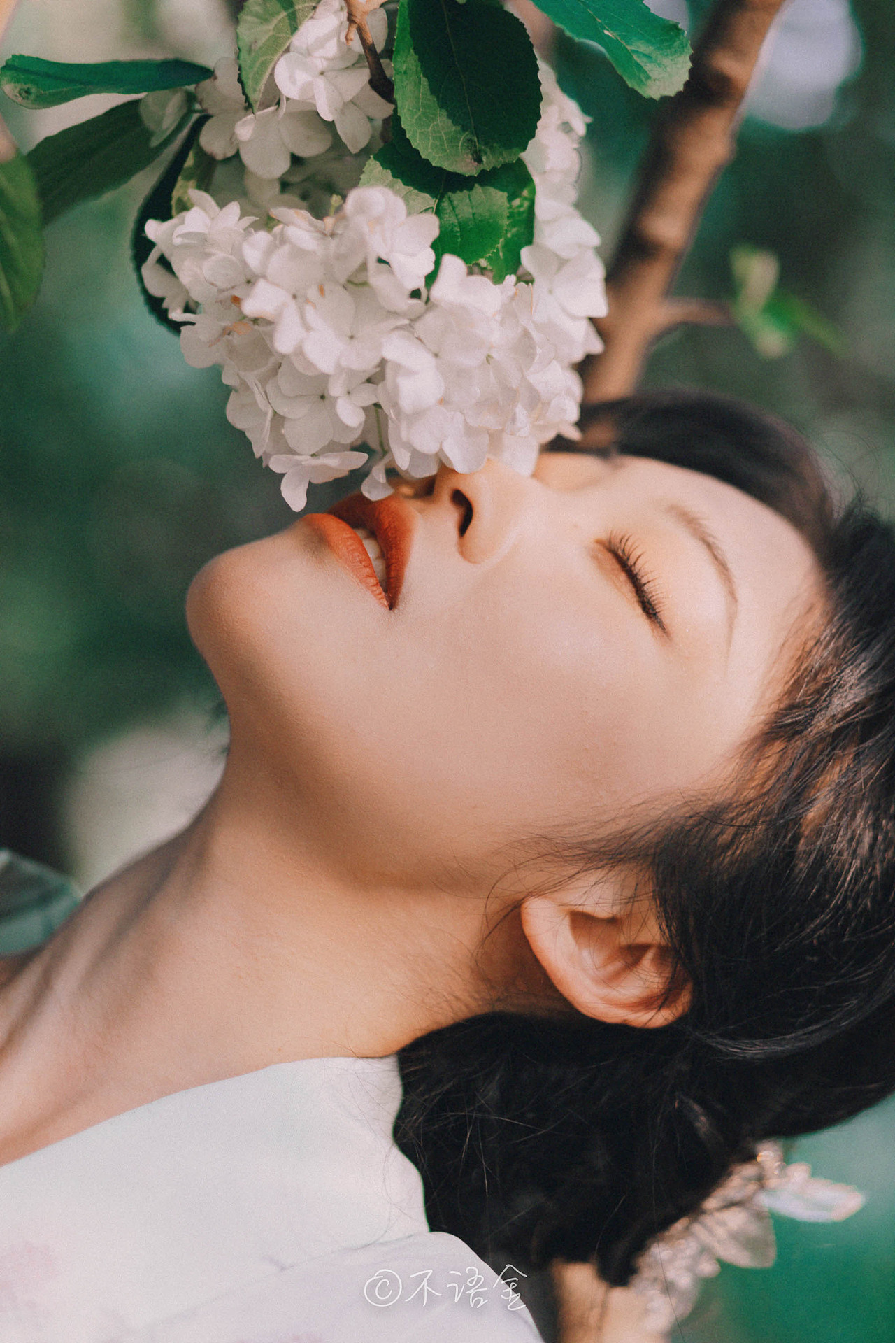 四月的绣球花（图ZMjUxMDA0OTQw） - 人像摄影 - 站酷设计师摄影师不语金原创素材 - 站酷ZCOOL