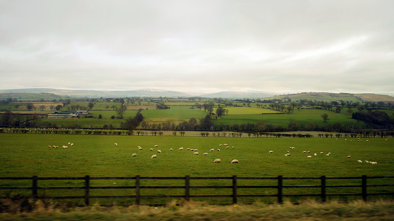 旧照片整理 -- UK