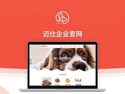 企业官网（迈仕）