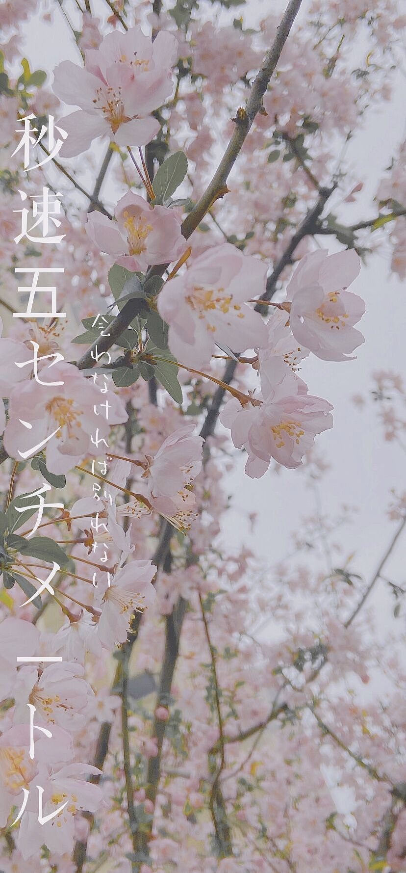 知昼暖·随拍随想（图ZMjQ5MjM5NjQ4） - 风光摄影 - 站酷设计师南山请问原创素材 - 站酷ZCOOL