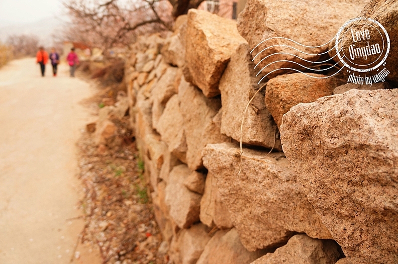 【wujian】倾国“青”城—Love QingDao