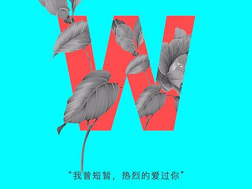 短暂、热烈的爱过你。