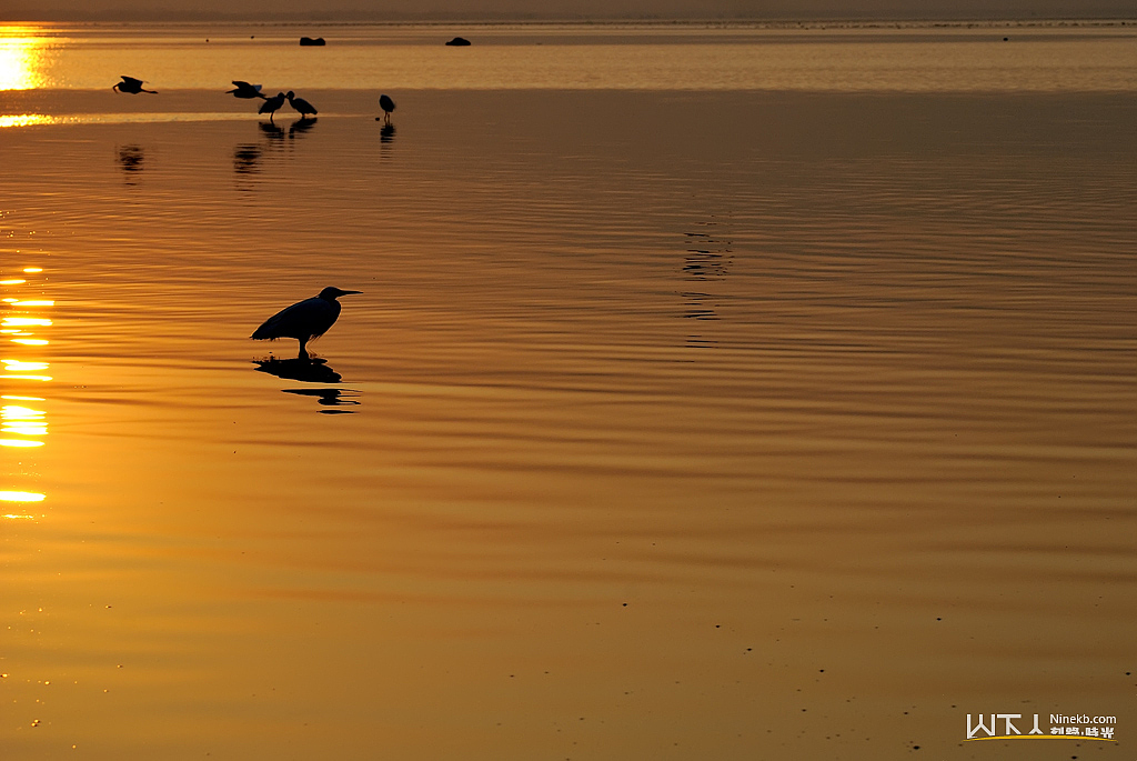 小精灵的世界（图ZMzAyMTA2NA==） - 风光摄影 - 站酷设计师ninekb原创素材 - 站酷ZCOOL