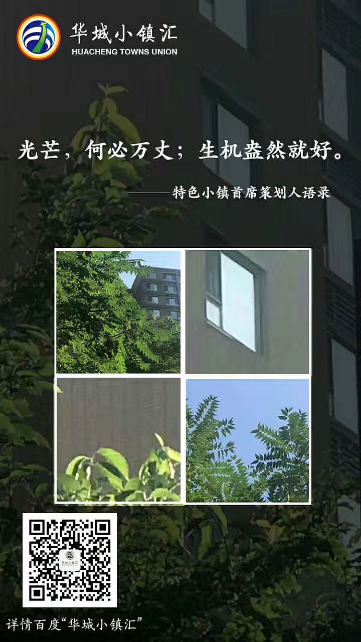 王金阳：最新一波王金阳语录图更新（图ZODYzNjAyOTY=） - 其他 - 站酷设计师每日干粮原创素材 - 站酷ZCOOL