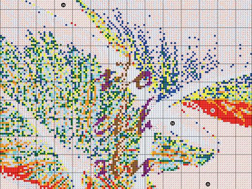 11CT-NCKF284C-1-清新绿植C款-40x53cm-十字绣打印图纸
