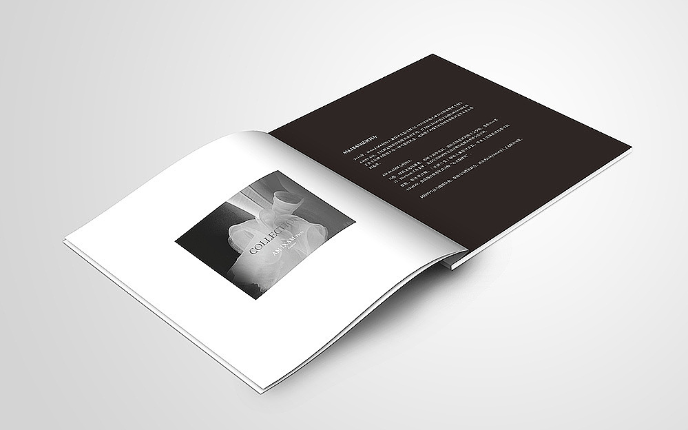 郑州女装品牌logo设计哪家做的好（图ZMTA0MzI2MDg4） - Logo - 站酷设计师河南上禅品牌策划原创素材 - 站酷ZCOOL