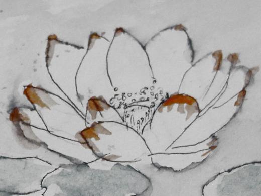 蓮花（個(gè)人主頁-ZMjc0MDM5MTI=） - 創(chuàng)作習(xí)作 - 站酷設(shè)計(jì)師錦鯉代原創(chuàng)素材 - 站酷ZCOOL