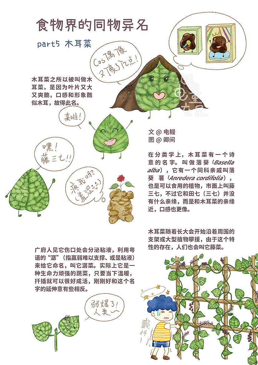 食物界的同物异名第三弹