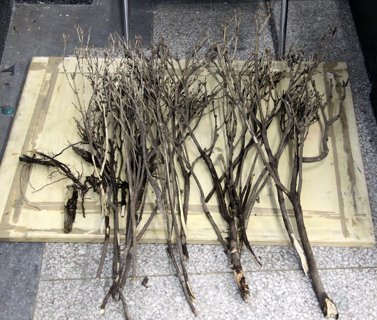 定格动画制作花絮