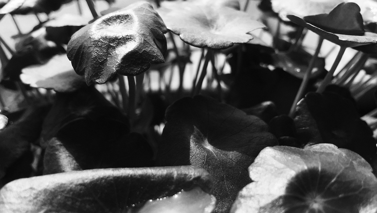 辦公室（圖ZMTA3NDUwNjcy） - 產(chǎn)品攝影 - 站酷設計師123www123原創(chuàng)素材 - 站酷ZCOOL