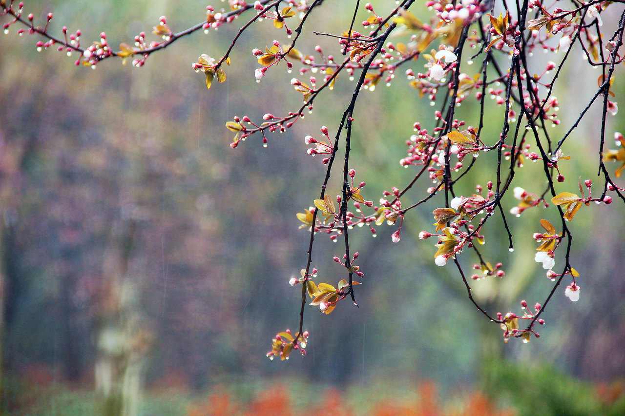 下雨天该在家睡觉的