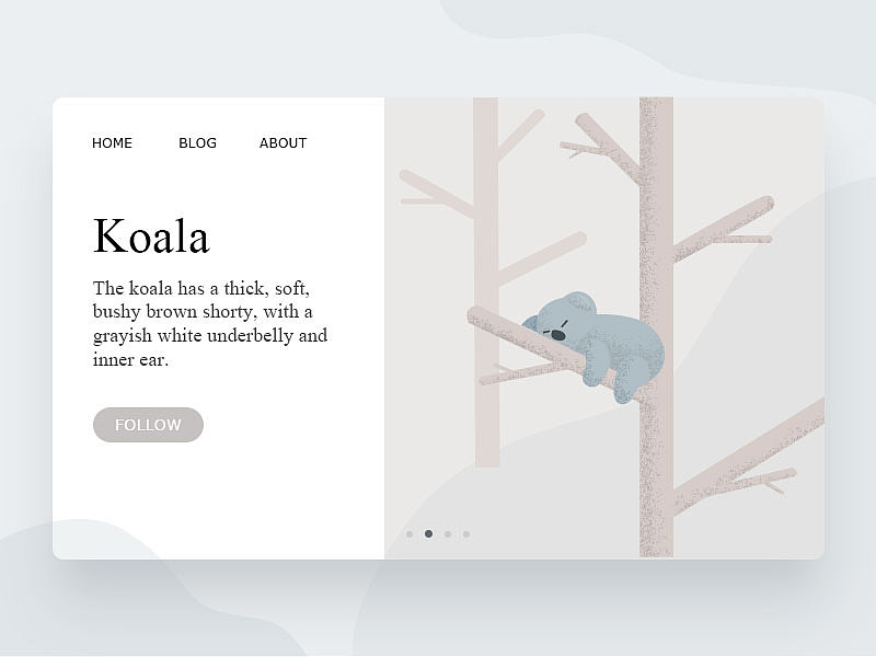 Animal concept APP（图ZMTE0NzIzODg0） - APP界面 - 站酷设计师二柚原创素材 - 站酷ZCOOL