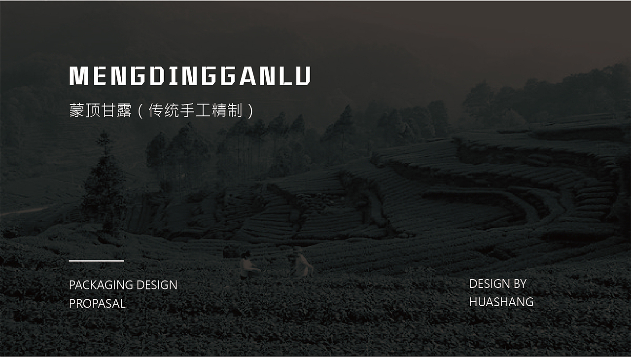 蒙顶甘露的设计提案