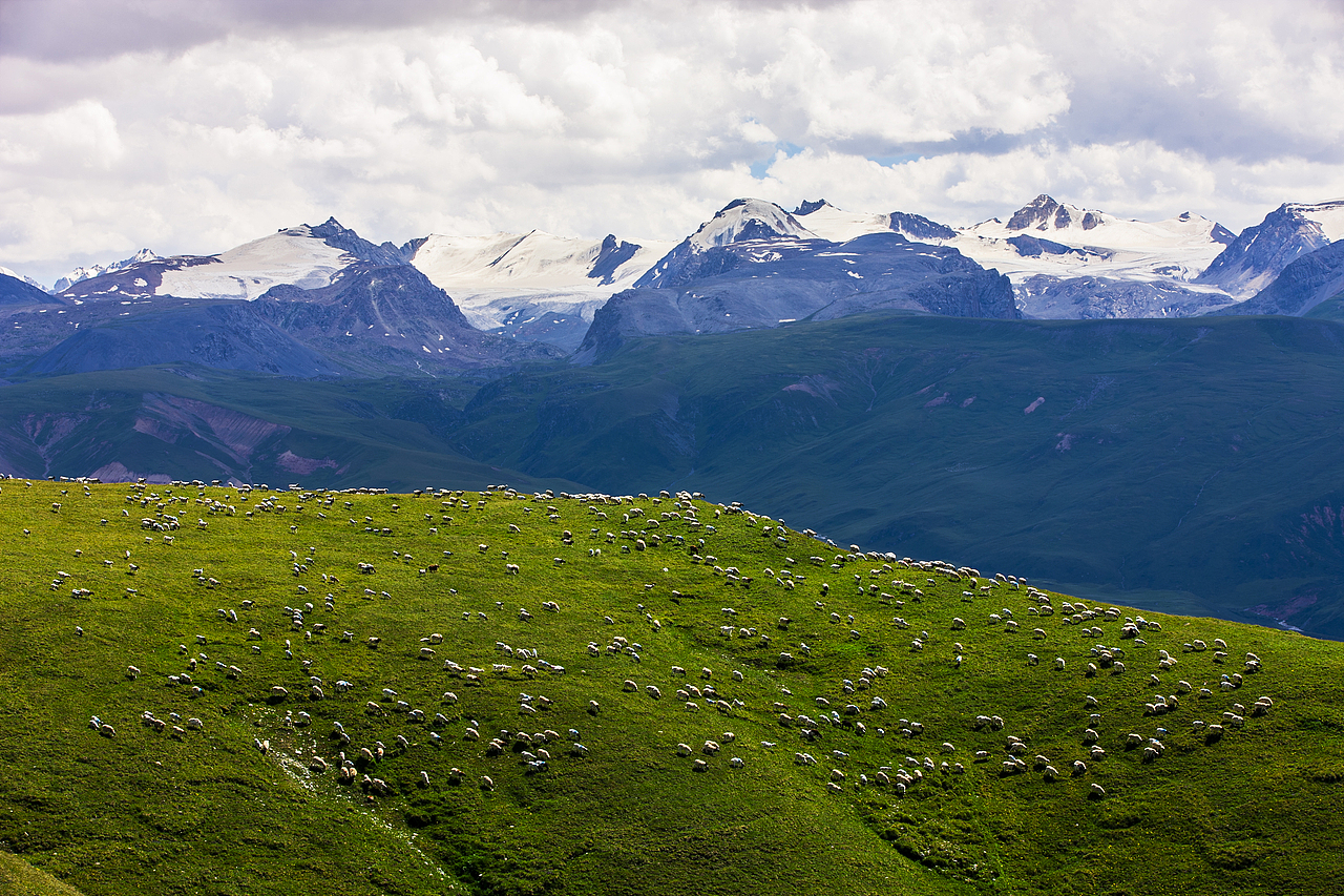 巴音布鲁克湿地（图ZMTcyMjIxNDY0） - 风光摄影 - 站酷设计师新疆摄影家沈久泉原创素材 - 站酷ZCOOL