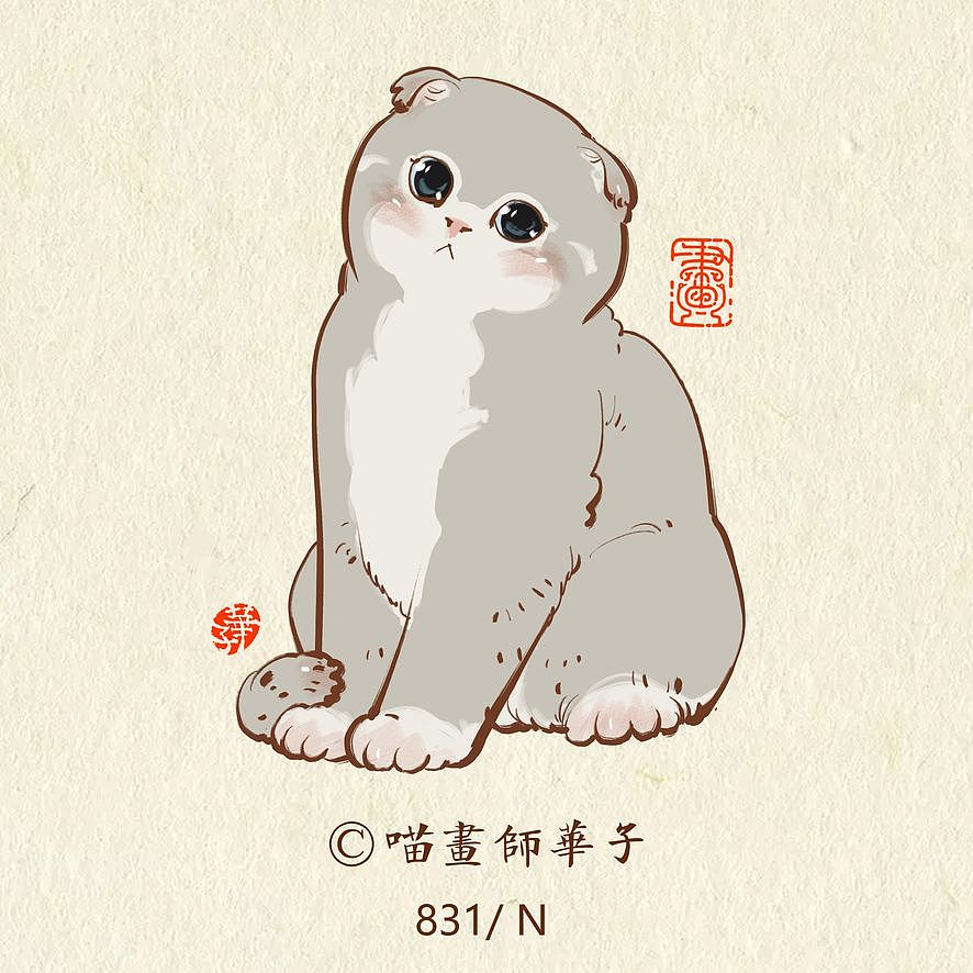 画猫的第三季150天,837天的画猫纪录