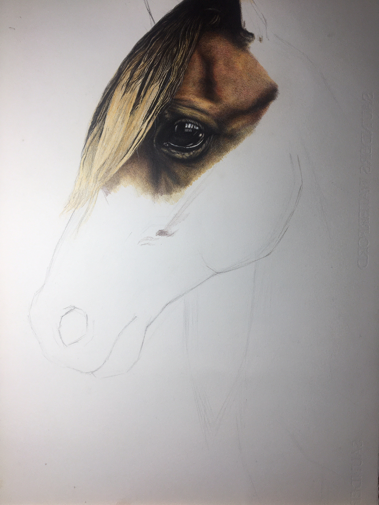 局部开始深入,一般在画人物或动物时我都喜欢冲眼睛开始画.