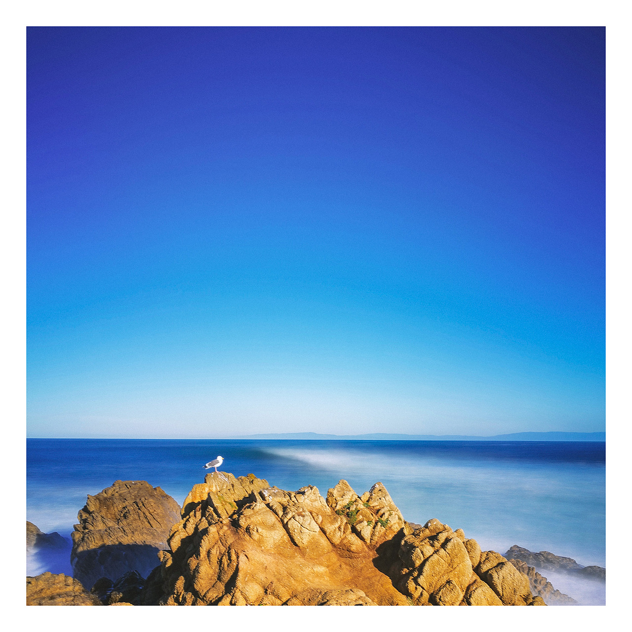 [手机摄影]二月美西，穿梭在海洋与雪地