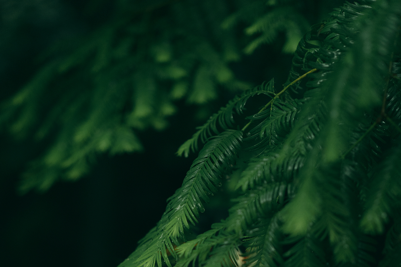 红笺小字（图ZMjU3MjcwNTM2） - 人像摄影 - 站酷设计师opengyoung原创素材 - 站酷ZCOOL