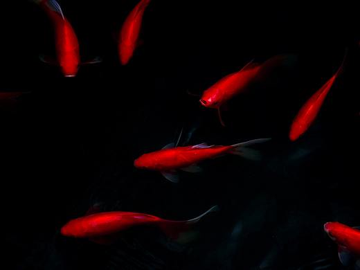 夏末（个人主页-ZNTUzOTMzMjA=） - 风光摄影 - 站酷设计师修图师张欢原创素材 - 站酷ZCOOL