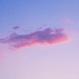 兔牙火龙果的头像