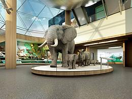 展示空间