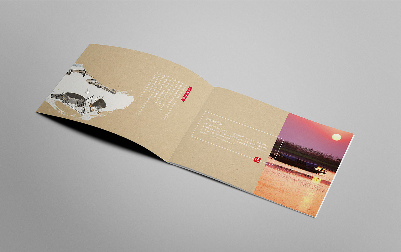 大米画册（图ZMzgyNTAzNDQ=） - 书籍/画册 - 站酷设计师邓尚妧原创素材 - 站酷ZCOOL