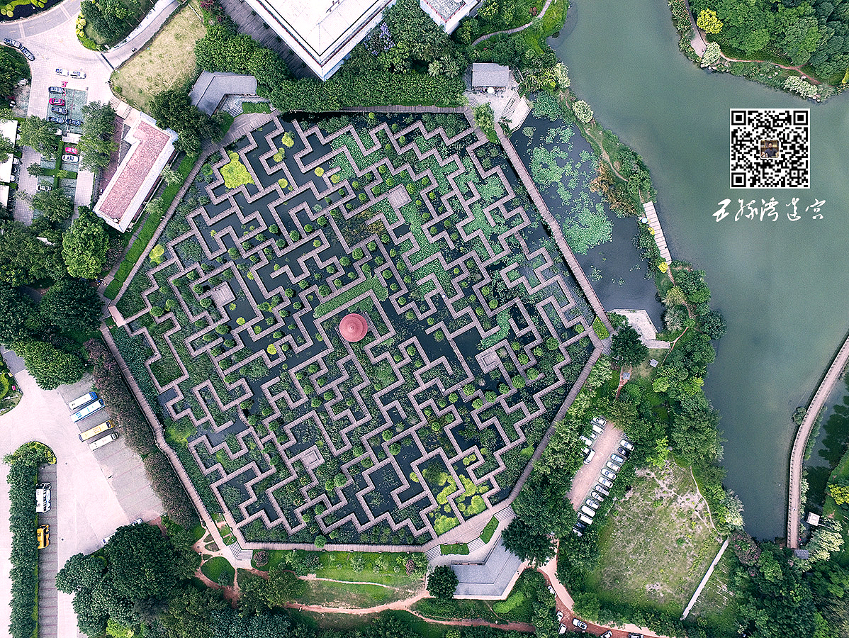 五缘湾湿地公园迷宫