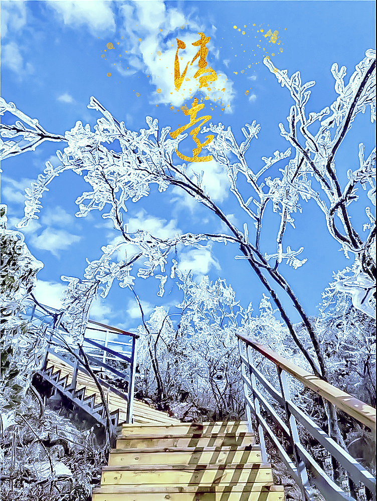 清远的冰晶琼枝