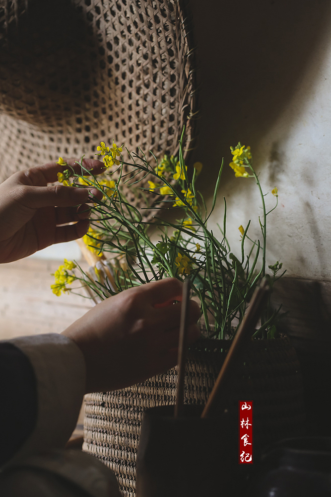 场景设计 │ 迟日江山丽，春风花草香。（图ZMjQ0NzE3MzE2） - 产品摄影 - 站酷设计师山林纪原创素材 - 站酷ZCOOL