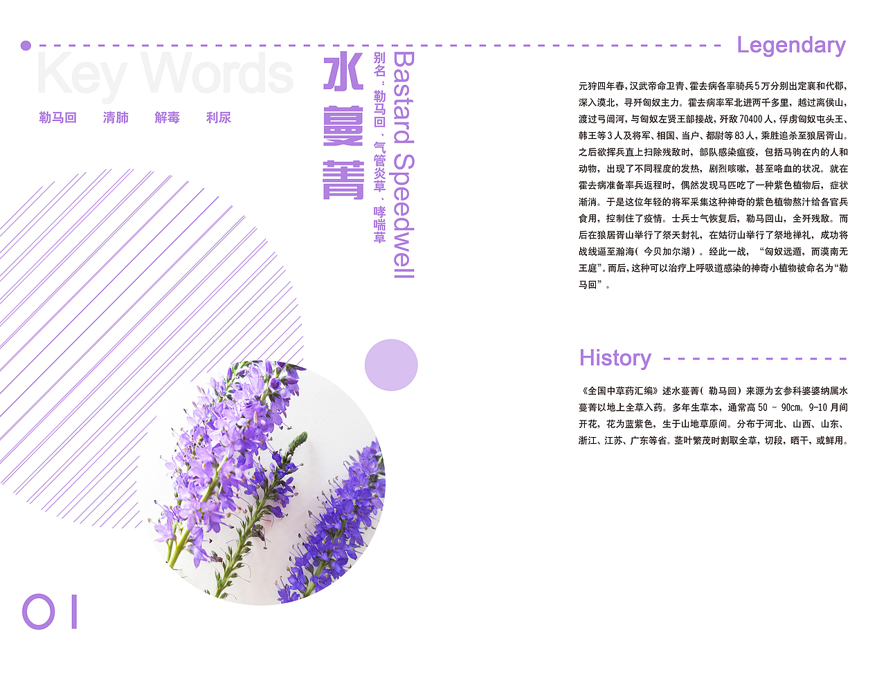 《神奇的植物》中药药材介绍小画册（图ZNzg0MTgzMzI=） - 书籍/画册 - 站酷设计师伦小喵原创素材 - 站酷ZCOOL