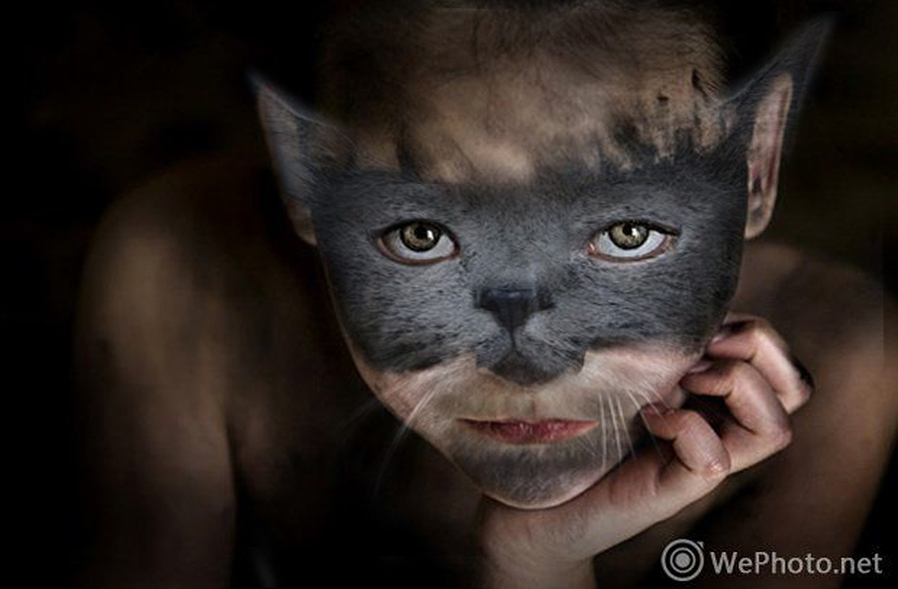 同构（图ZMTI4OTUwNjIw） - 其他平面 - 站酷设计师哈几莫多原创素材 - 站酷ZCOOL